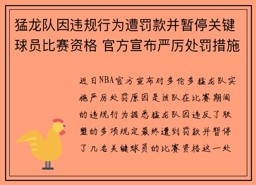猛龙队因违规行为遭罚款并暂停关键球员比赛资格 官方宣布严厉处罚措施