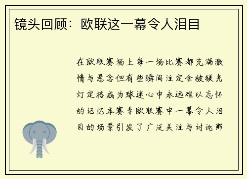 镜头回顾：欧联这一幕令人泪目